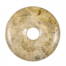 Donut Pi Chinois en corail fossilisé pour pendentif
