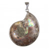 Pendentif fossile ammonite sciée
