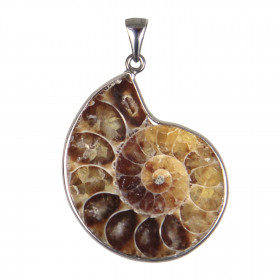 Pendentif fossile ammonite sciée