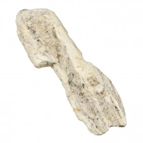 Fragment fossilisé de défense de mammouth - 1.5 à 3 cm