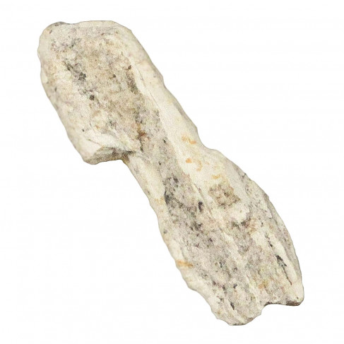 Fragment fossilisé de défense de mammouth - 1.5 à 3 cm