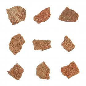 Fragment de coquille d'oeuf de dinosaure fossilisée - 0.5 à 1 cm