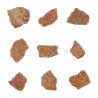 Fragment de coquille d'oeuf de dinosaure fossilisée - 0.5 à 1 cm