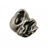 Dent de lamentin fossile - 1.5 à 2 cm