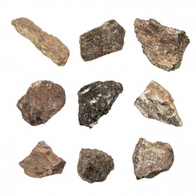 Fragment d'os de dinosaure fossilisé - 2 à 3 cm