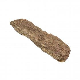 Fragment d'os de dinosaure fossilisé - 2 à 3 cm