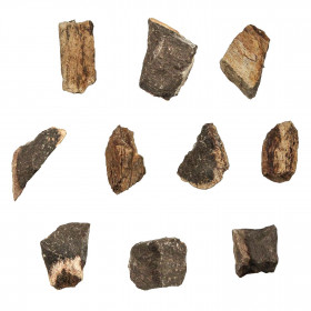 Fragment d'os de mammouth fossilisé  - 2 à 3 cm