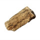 Fragment d'os de mammouth fossilisé  - 2 à 3 cm