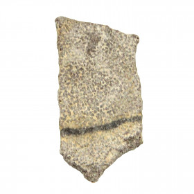Fragment de coquille d'oeuf de titanosaure fossilisée - 3.5 à 4.5 cm