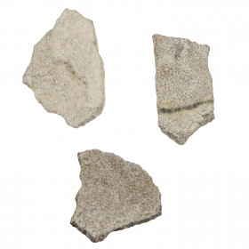 Fragment de coquille d'oeuf de titanosaure fossilisée - 3.5 à 4.5 cm