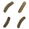 Dent de raie fossile myliobatis dixoni - 2 à 3 cm