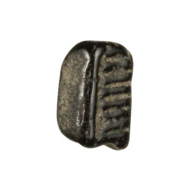 Fragment de dent de raie fossilisée - 0.5 à 1 cm
