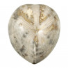 Oursin fossile micraster - 3 à 4 cm