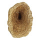 Eponge fossile - 6 à 8 cm
