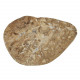 Tranche de stromatolithe polie - 34 grammes