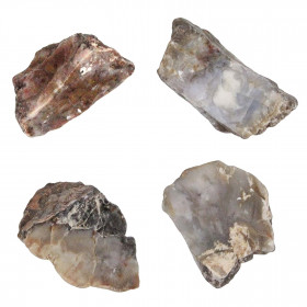 Coprolithe scié de dinosaure - 5 à 7 cm - A l'unité