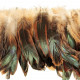 Plumes queue de coq demi bronze - Enfilées 20 cm
