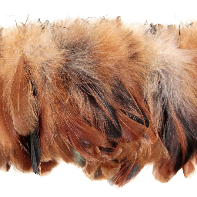 Plumes queue de coq beige - Enfilées 20 cm