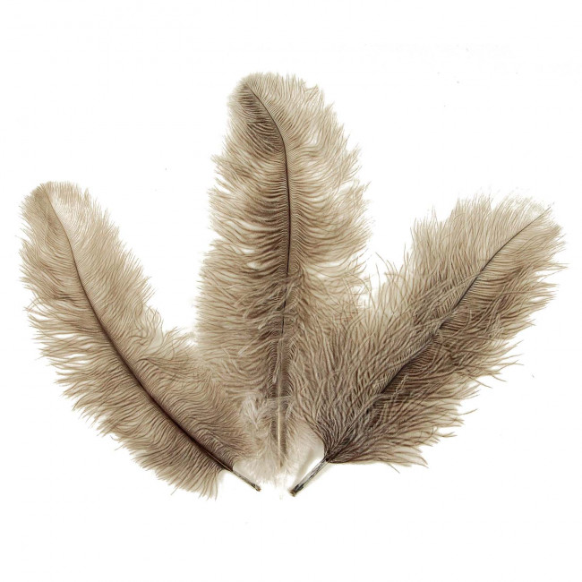 Plumes de blondine - 25 à 30 cm - Lot de 10