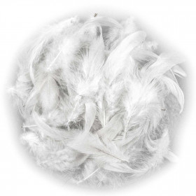 Plumes pampille de coq blanches - 13 à 15 cm - 5 grammes