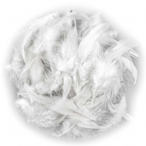 Plumes pampille de coq blanches - 13 à 15 cm - 5 grammes