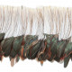 Plumes fouet queue de coq demi bronze - Enfilées 20 cm