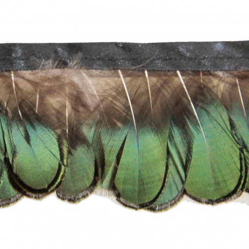 Plumes de faisan Lady Amherst amande bronze - Frange 20 cm