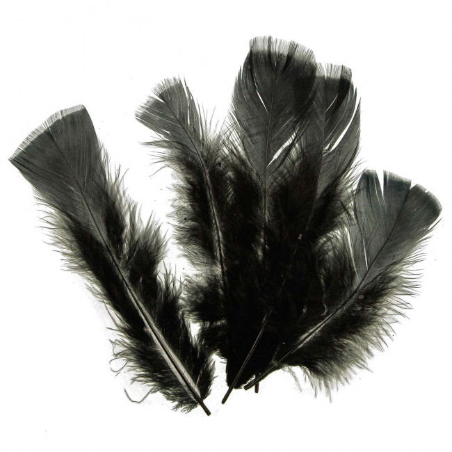 Plumes pied plat de dinde - 5 grammes 