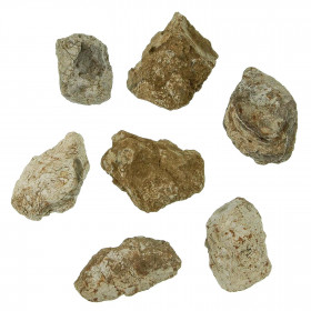 Galets de chauffe du néolithique - 3 à 5 cm - A l'unité