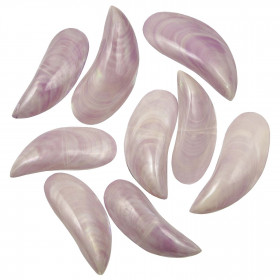 Coquillages perna viridis mauve nacré entier poli - 8 à 10 cm - Lot de 4
