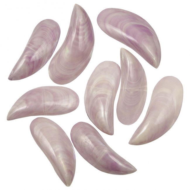 Coquillages perna viridis mauve nacré entier poli - 8 à 10 cm - Lot de 4
