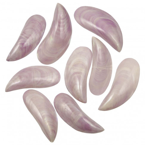 Coquillages perna viridis mauve nacré entier poli - 8 à 10 cm - Lot de 4