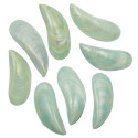 Coquillages perna viridis bleu nacré entier poli - 8 à 10 cm - Lot de 4