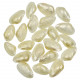 Coquillages contradens ascia ascia nacré - 4 à 5 cm - Lot de 5