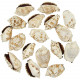 Coquillages strombus picpus - 5 à 6 cm - Lot de 5
