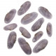 Coquillages tellina mauves entiers - 5.5 à 8 cm - Lot de 4