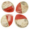 Coquillage haliotis mi-teinté rouge