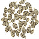 Petits poissons naturalisés - 3 à 5 cm - Lot de 10