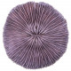 Corail fungia fungites mauve