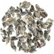Coquillages mytilus - 2 à 3 cm - 100 grammes
