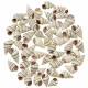 Coquillages liguus virgineus - 2 à 3 cm - Lot de 10