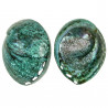 Coquillage haliotis corrugata nacré bleu-vert