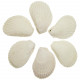 Coquillages lima lima entiers - 9 à 11 cm - Lot de 2