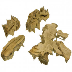 Lot de branches de bois de mûrier semi-découpées - 1 kg