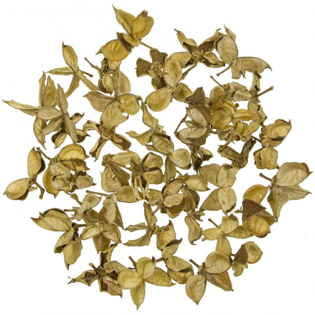 Cosses de coton - 250 grammes