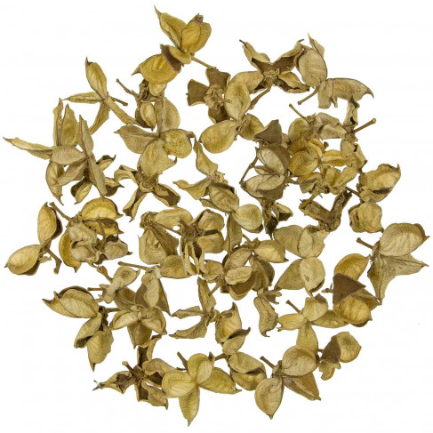Cosses de coton - 250 grammes