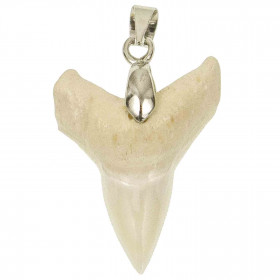 Pendentif dent de requin pointe bélière en métal argenté