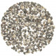 Coquillages nassarius columbella +/- 1 cm - 100 grammes