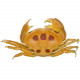 Crabe à pois rouge carpilius naturalisé