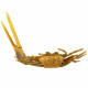 Crabe violoniste